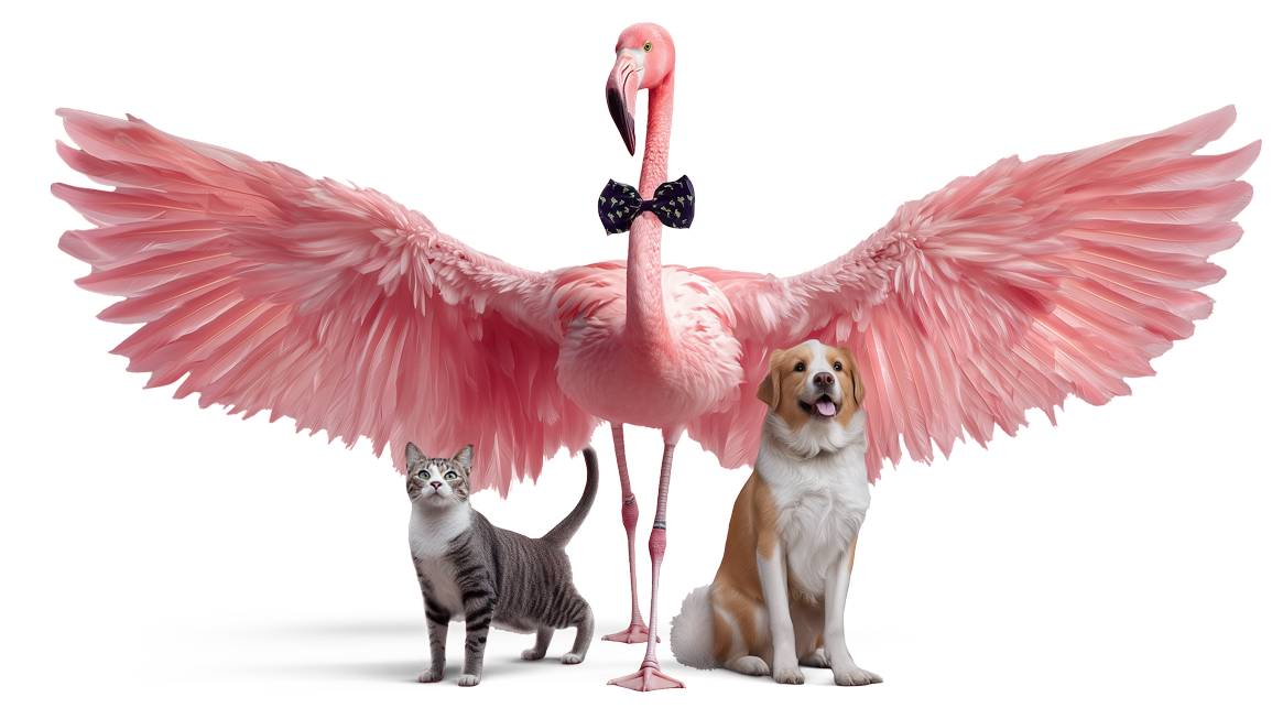 simpego - deine Haustierversicherung